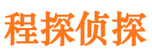 宁河市侦探公司